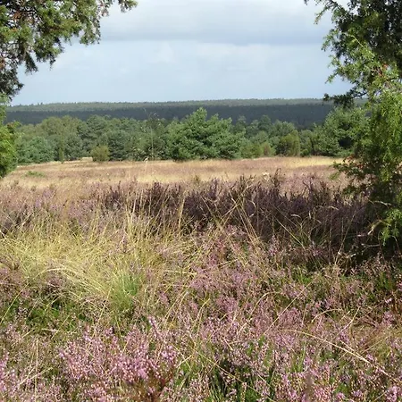 Margret Und Kord Hedder Bispingen