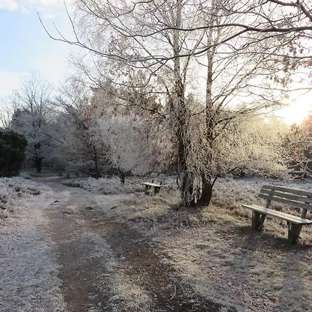 Lejlighed Margret Und Kord Hedder Bispingen