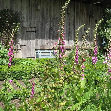 Margret Und Kord Hedder Bispingen